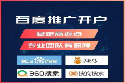 某某sem推广公司在某行业的应用与效果分析